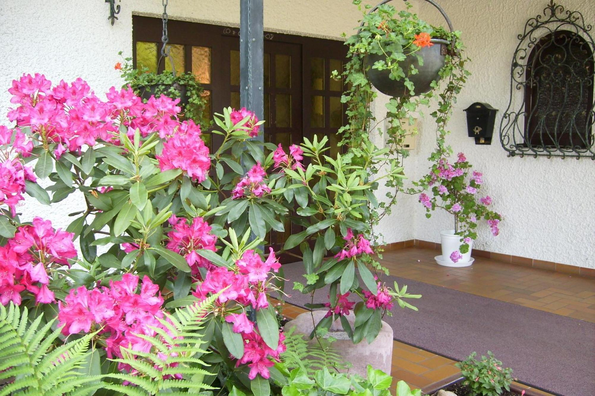 Hotel Muehlenthal Gmbh Schwalbach Εξωτερικό φωτογραφία
